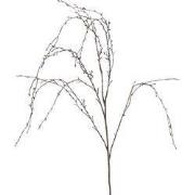 Kunsttak treur/hang Betula XL bruin