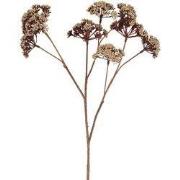 Kunstbloem Eupatorium S beige
