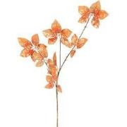 Kunstblad Castanea Circus oranje