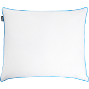 ANETO - Hoofdkussen 3 vakken - Wit - 50 x 60 cm - Hoog - Eendenveren