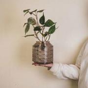 Vase - Pattern - Glass - Smokey - 16x16cm