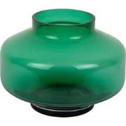 Present Time - Vaas Pasmoso - Groen