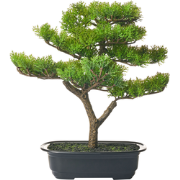 PINE - Kunstplant - Groen - 37 cm - Synthetisch materiaal