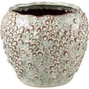 PTMD - Pot Avis - Beige - 20x20x17cm