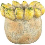 PTMD - Pot Fruitsy - Geel - 23.5x23.5x20cm