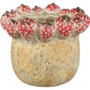 PTMD - Pot Fruitsy - Rood - 23.5x23.5x20cm
