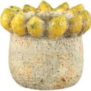 PTMD - Pot Fruitsy - Geel - 21x21x18cm