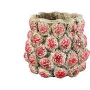 PTMD - Pot Fruitsy - Rood - 25.5x25.5x23cm