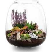 URBANJNGL - Cosy Winter & Kerstmis terrarium - Planten terrarium met k...