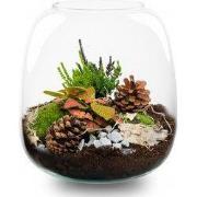 URBANJNGL - Tinsel Kerstmis terrarium - Planten terrarium - DIY kit Ch...