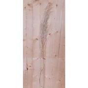 Kerstgroen decoratie pampus pluim tak