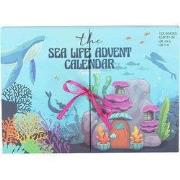 Sokken adventskalender meisjes oceaan 12 paar