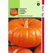 2 stuks - Pompoenen Rode van Etampes