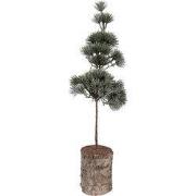Clayre & Eef Mini Kunstkerstboom 14x14x45 cm Groen Hout