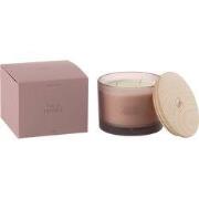 J-Line - Geurkaars Accords Essentiels Figue Frivole-28h - 11.5x11.5x10...