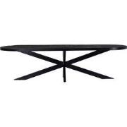 Eettafel Ovaal - Zwart Mangohout - 300x100x78 - Barn - Giga Meubel