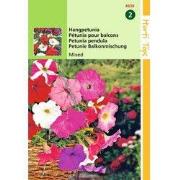 2 stuks - Petunia Pendula Gemengd
