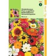 2 stuks - HT Vlinderbloemenmengsel