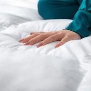 Lanotte® - Dekbed 30%/70% Dons-Veren - 240x220 cm