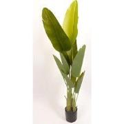 Trave palm 220 cm kunstplant Oosterik Home