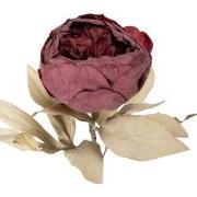 Clayre & Eef Kunstbloem 62 cm Rood Kunststof