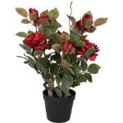 Clayre & Eef Kunstplant Roos 20x20x55 cm Rood Kunststof