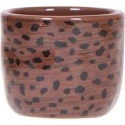 Kolibri Home | Leopard sierpot - Ø6cm