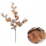 Money leaf tak bruin 104 cm