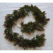 Eucalyptus guirlande rood groen 190 cm