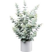 Kunstmatige eucalyptusplant, Kopu, 65 cm, in een grijze pot - Groen/gr...