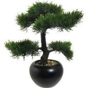 Kopu kunstmatige cederbonsai 37 cm met zwarte pot - Bonsaiboom