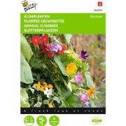 2 stuks - Klimplantenmengsel