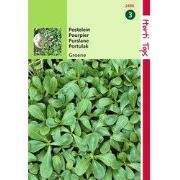 2 stuks - Postelein Groene