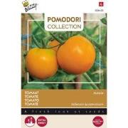 3 stuks - Pomodori arancia