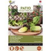 Patio Veggies, Romeinse Mini-sla (gemengd)