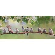 Mussen 130x50cm Tuinschilderij