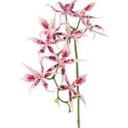 Spiderorchidee brassia roze met 9 bloemen & 2 plastic knoppen kunstblo...