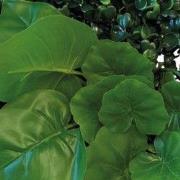 Repto Aquadistri plant achterwand mat 25x25 cm 1