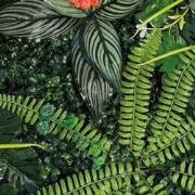 Repto Aquadistri plant achterwand mat 40-60 cm 3