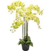 Orchidee kunstplant 6-tak 88 cm, groen