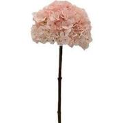 Kunstbloem hortensia 66 cm, creme/roze