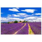 Tuindoek lavendel 210x140cm