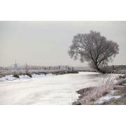 Tuinschilderij polder winter 70x50