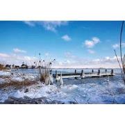 Tuinschilderij haven in ijs 130x70