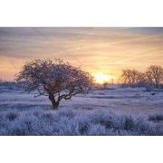 Tuinschilderij winter wonderl 70x50