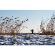 Tuinschilderij molen sneeuw 130x70