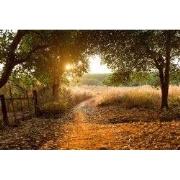 Tuinschilderij ochtenddauw 130x70cm