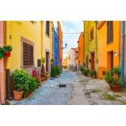 Tuinschilderij old town 70x50cm