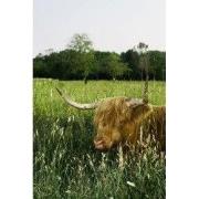 Tuinschilderij hoogl veld 130x70