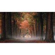 Tuinschilderij ochtenddauw 130x70cm